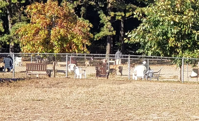 Photo of City Dog Park