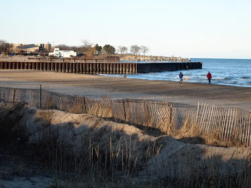 Photo of Dog Beach